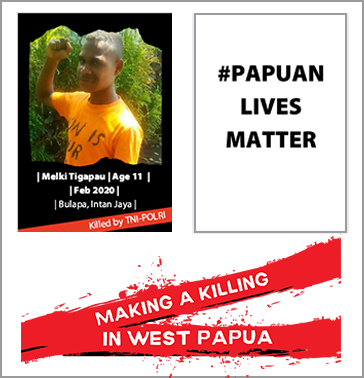 West Papua resources preview